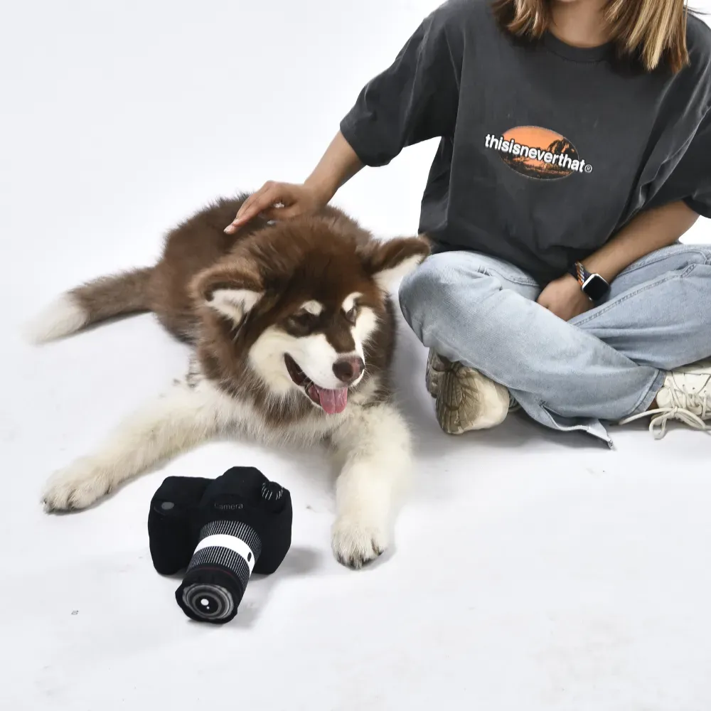 Pets Dog Gift Set