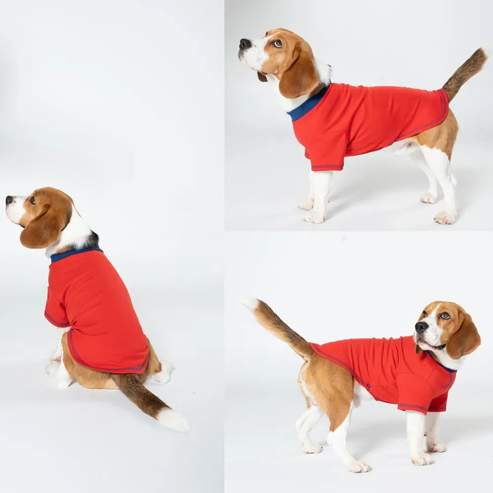 all season dog shirt all season dog shirt