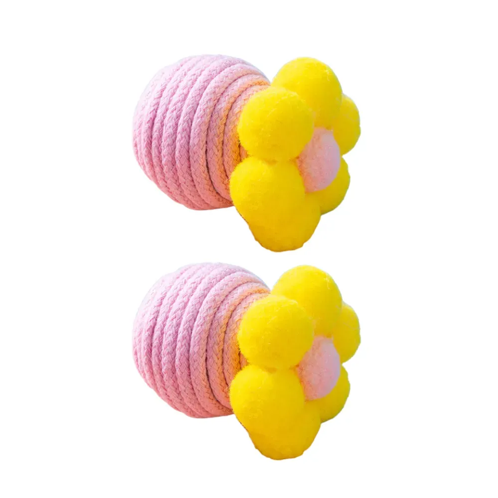 cat activity toy