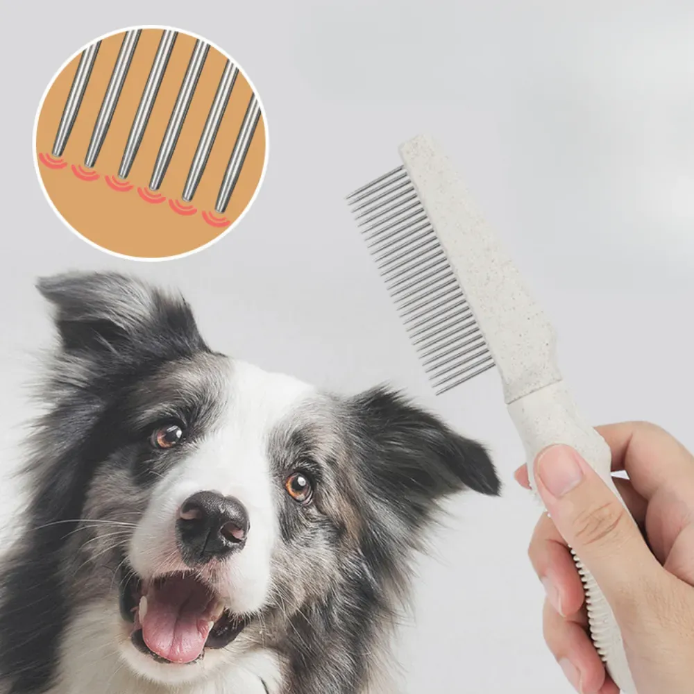 fine tooth pet comb