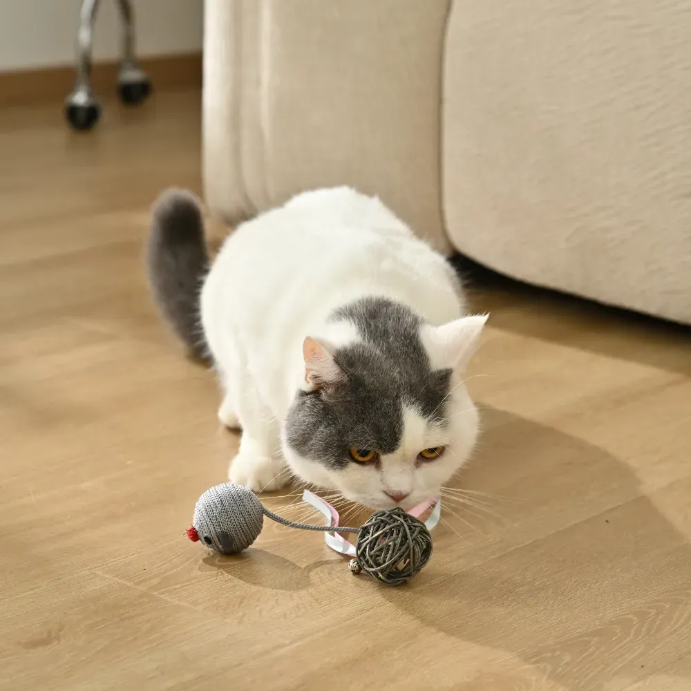Cat Ball Toy Set factory Cat Ball Toy Set factory