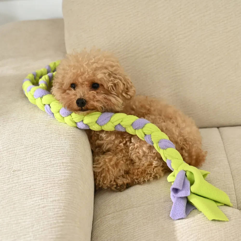 Rope Dog Toy