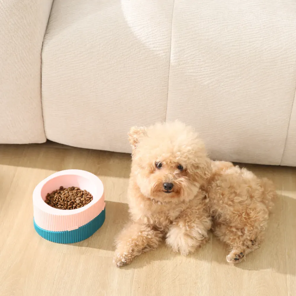 New Dog Bowl