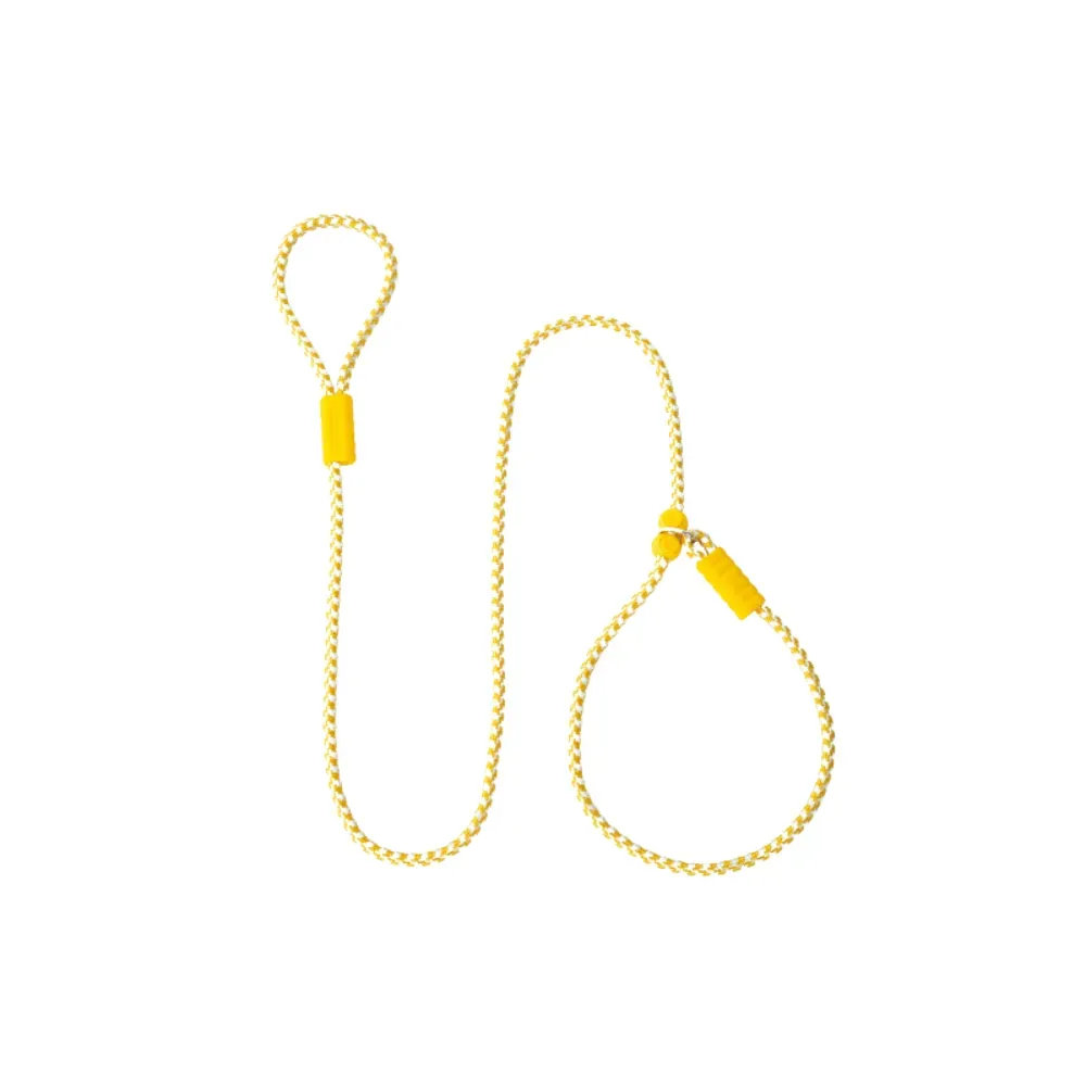 nylon dog leash nylon dog leash