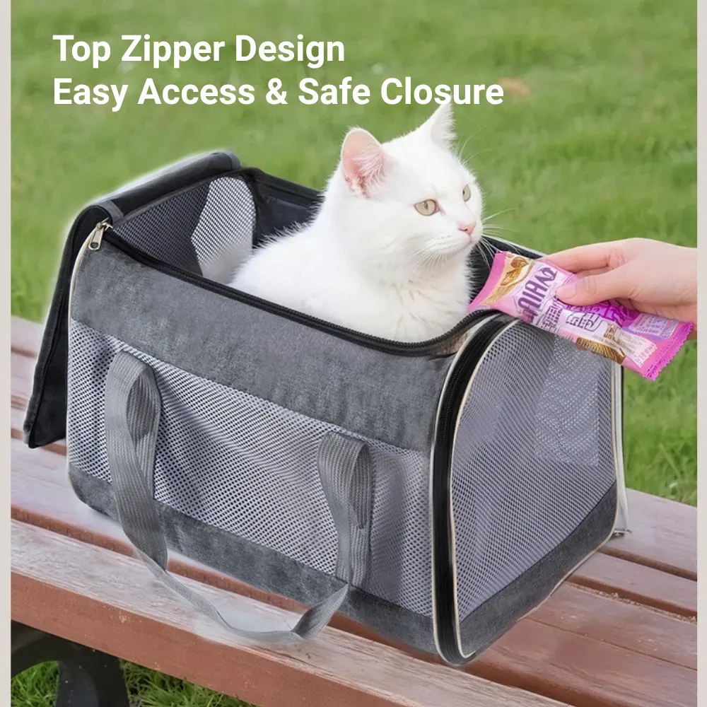 professional pet carrier