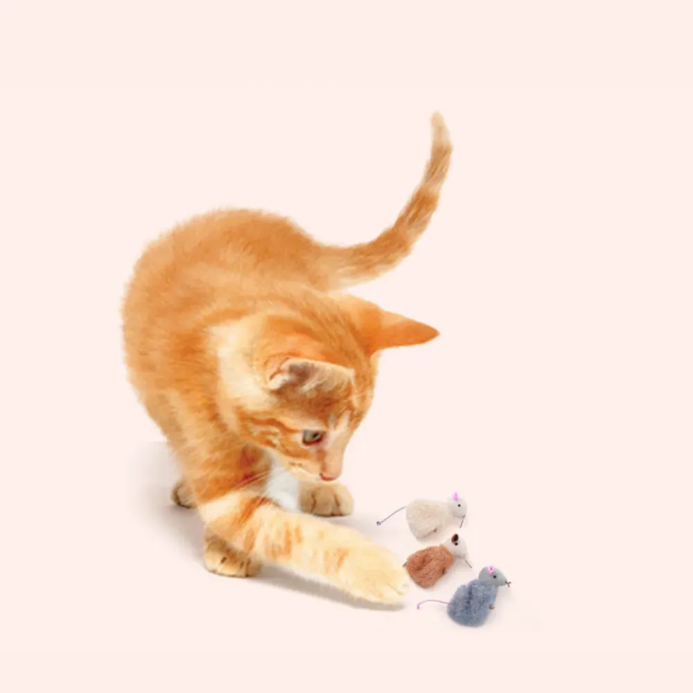 retail cat toy retail cat toy