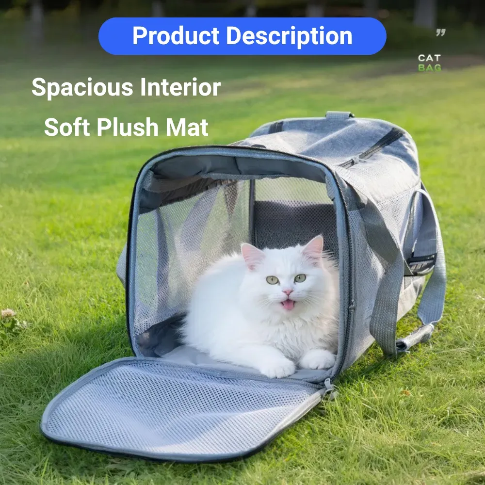 travel pet bag