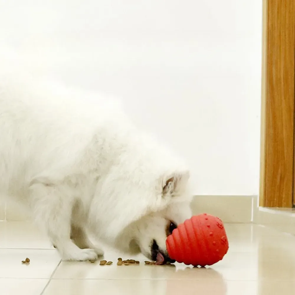 chew toy for dogs