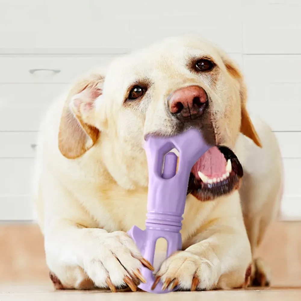 strong dog chew