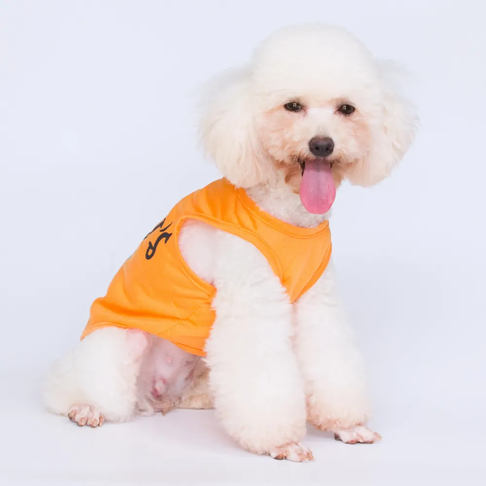 pet clothes for small breeds