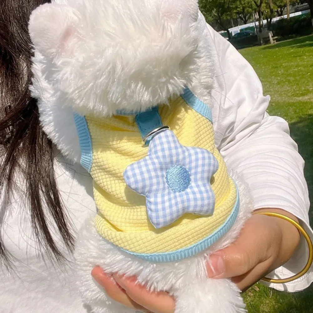 dog walking vest