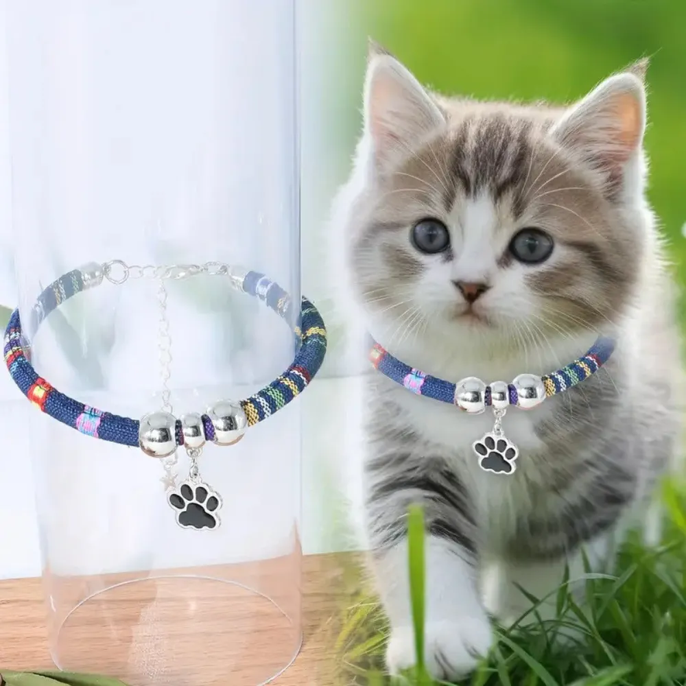 trendy cat collar