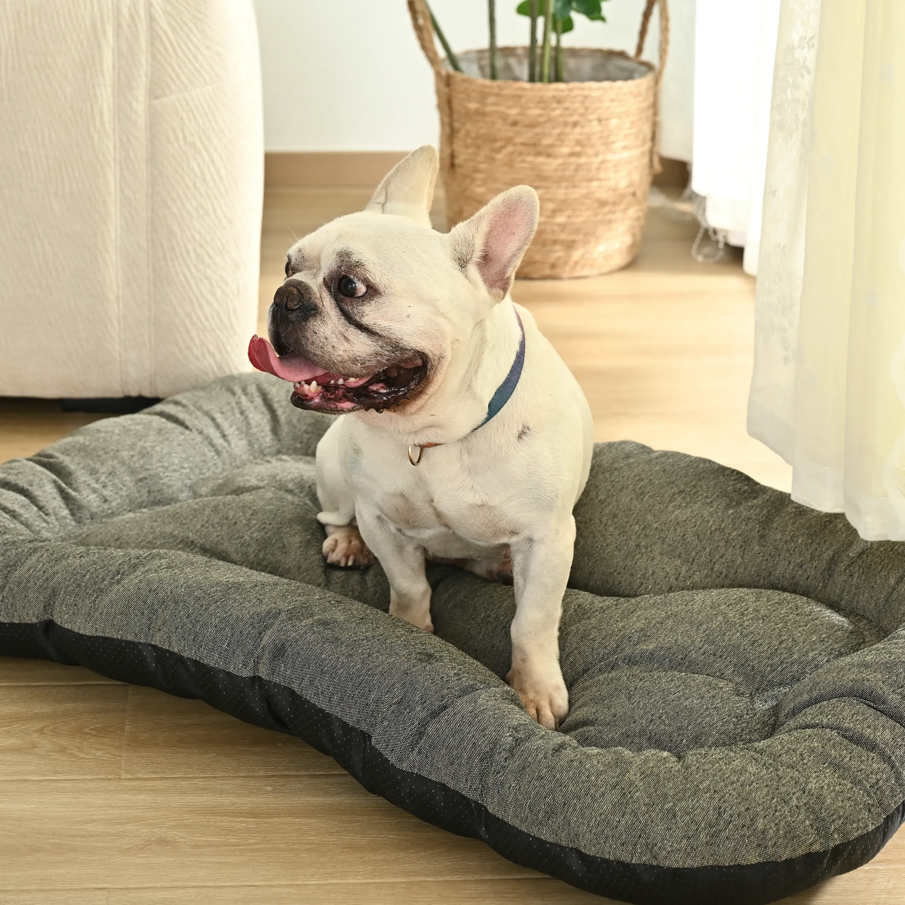 Pet Cushion Bed anti slip
