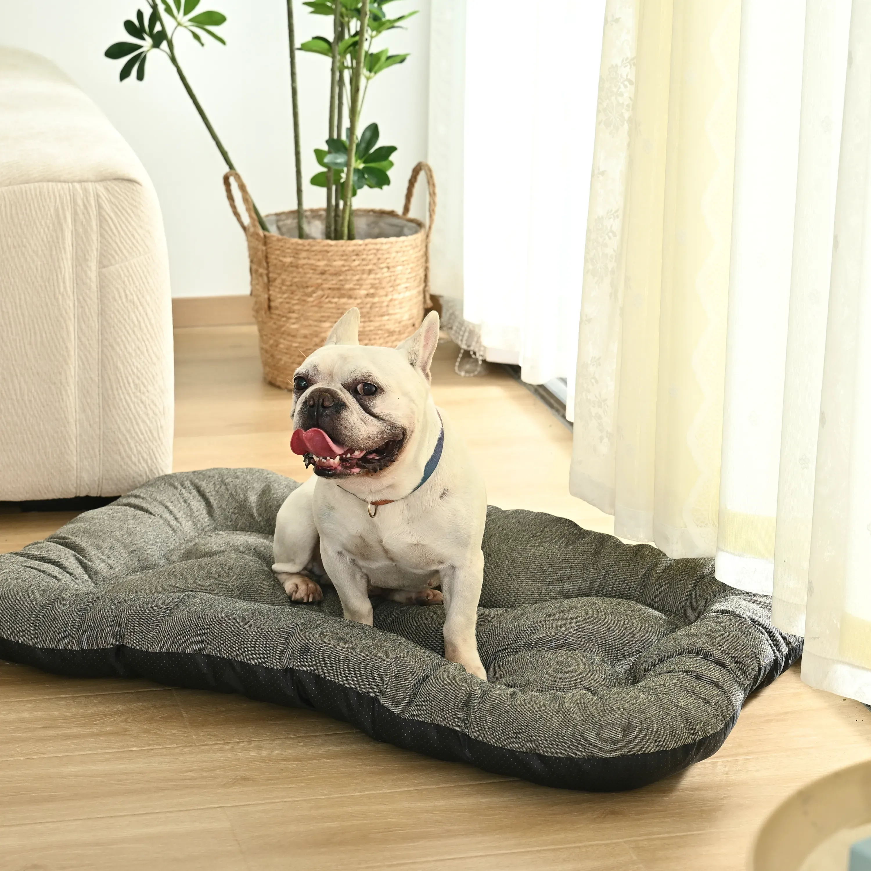 Pet Cushion Beds
