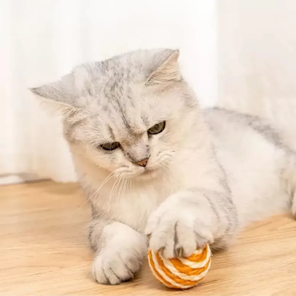 natural texture toy