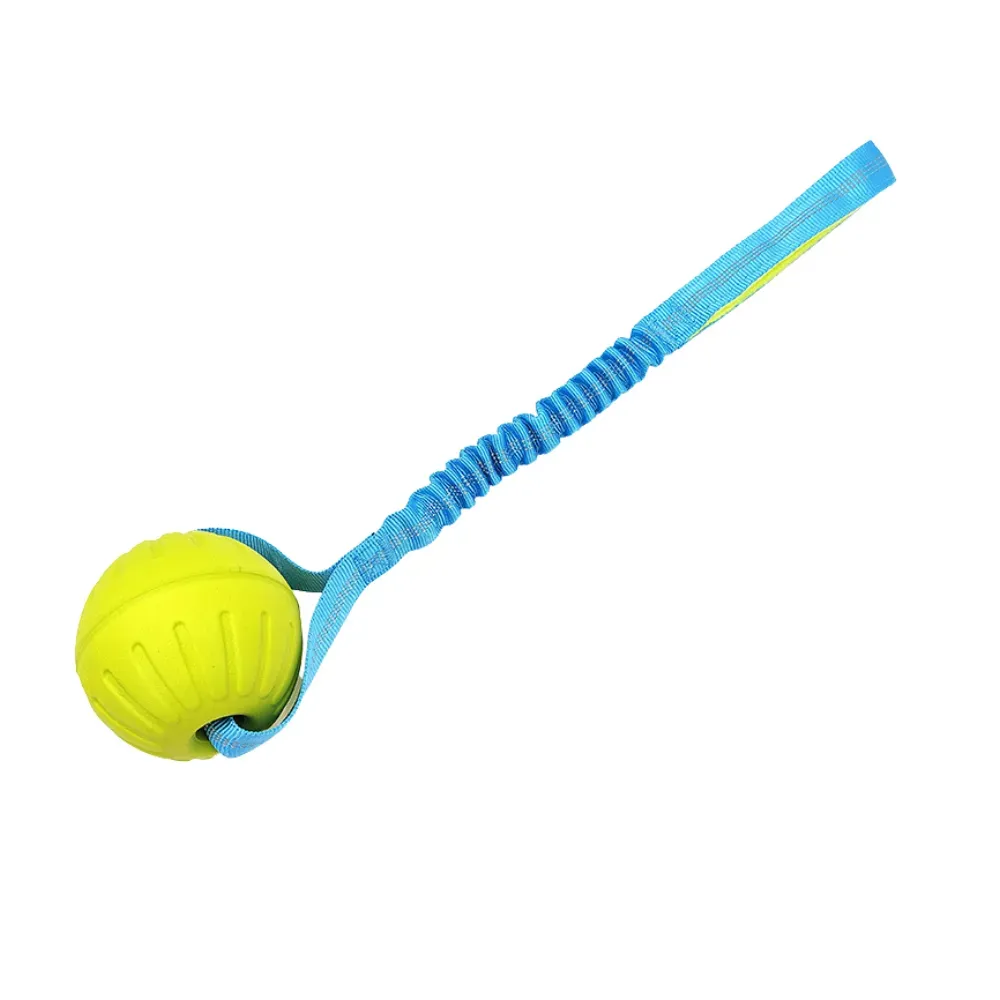 floating dog toy floating dog toy