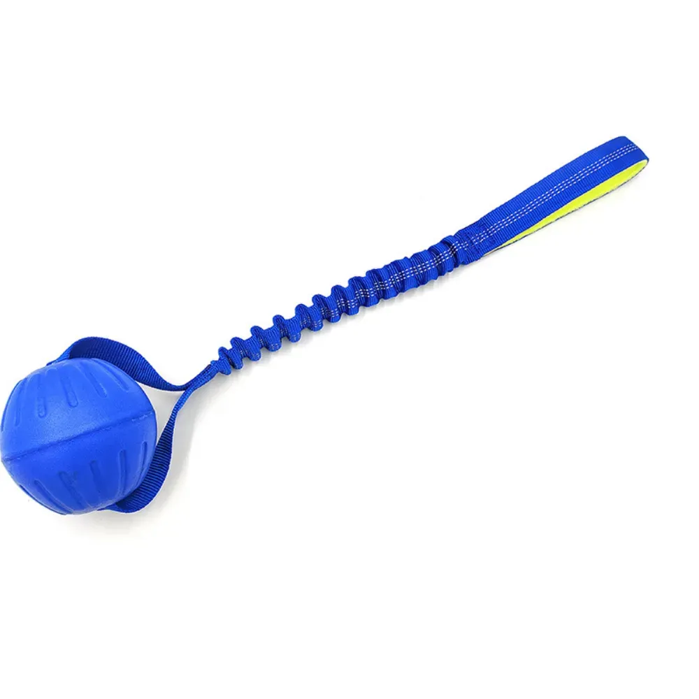 dog fetch training ball dog fetch training ball