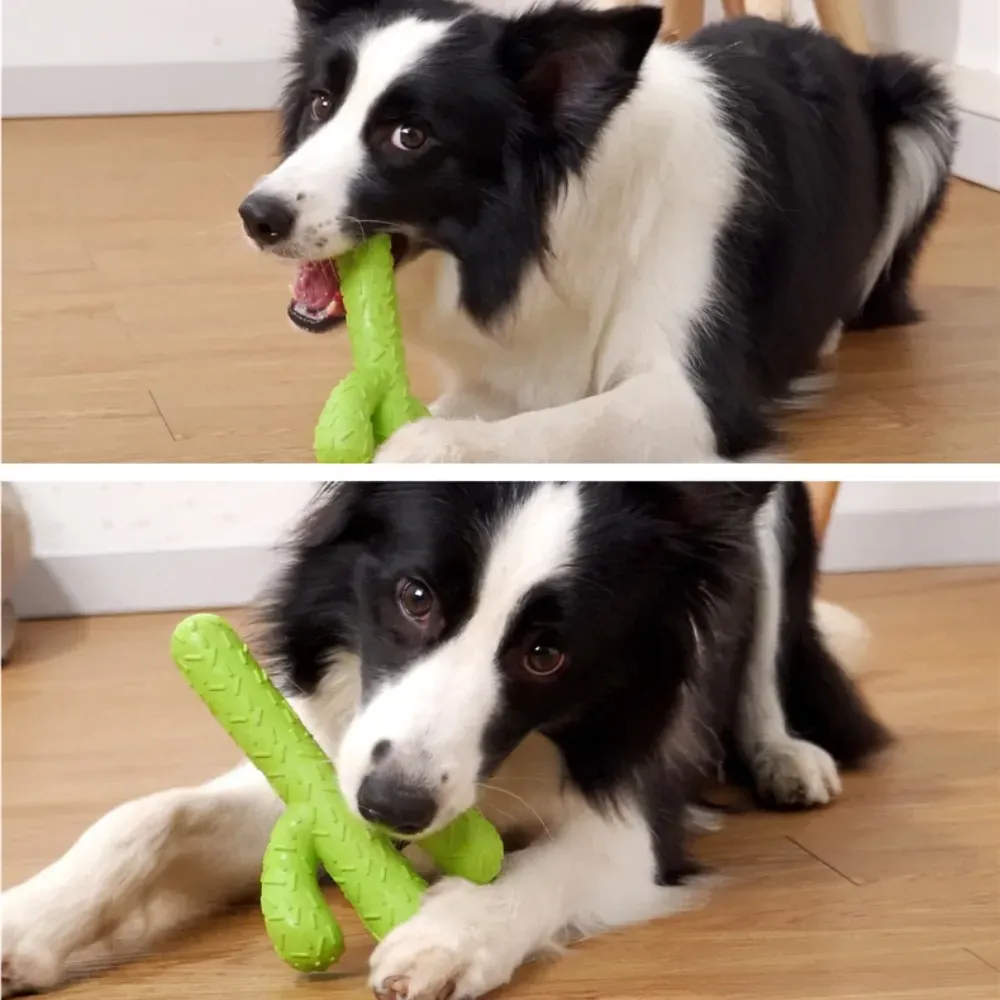 dog cactus toy dog cactus toy