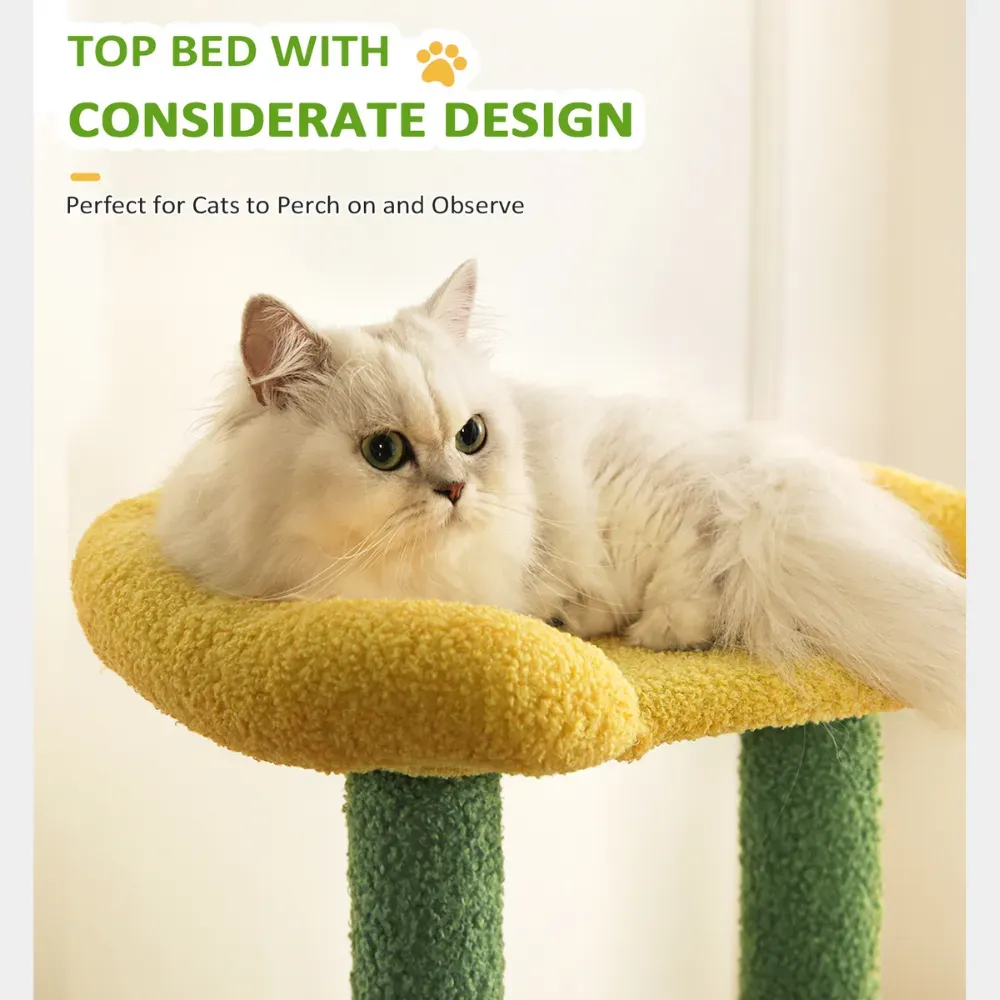 cat scratching post