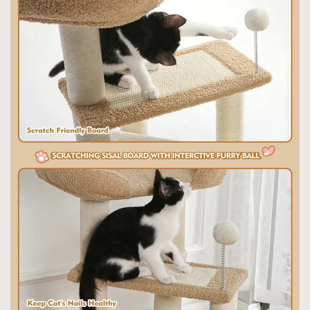 small cat condo small cat condo