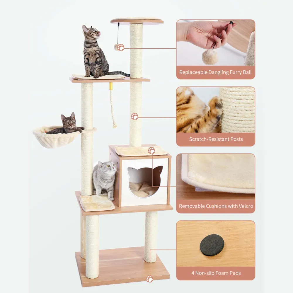 cat condo for indoor cats