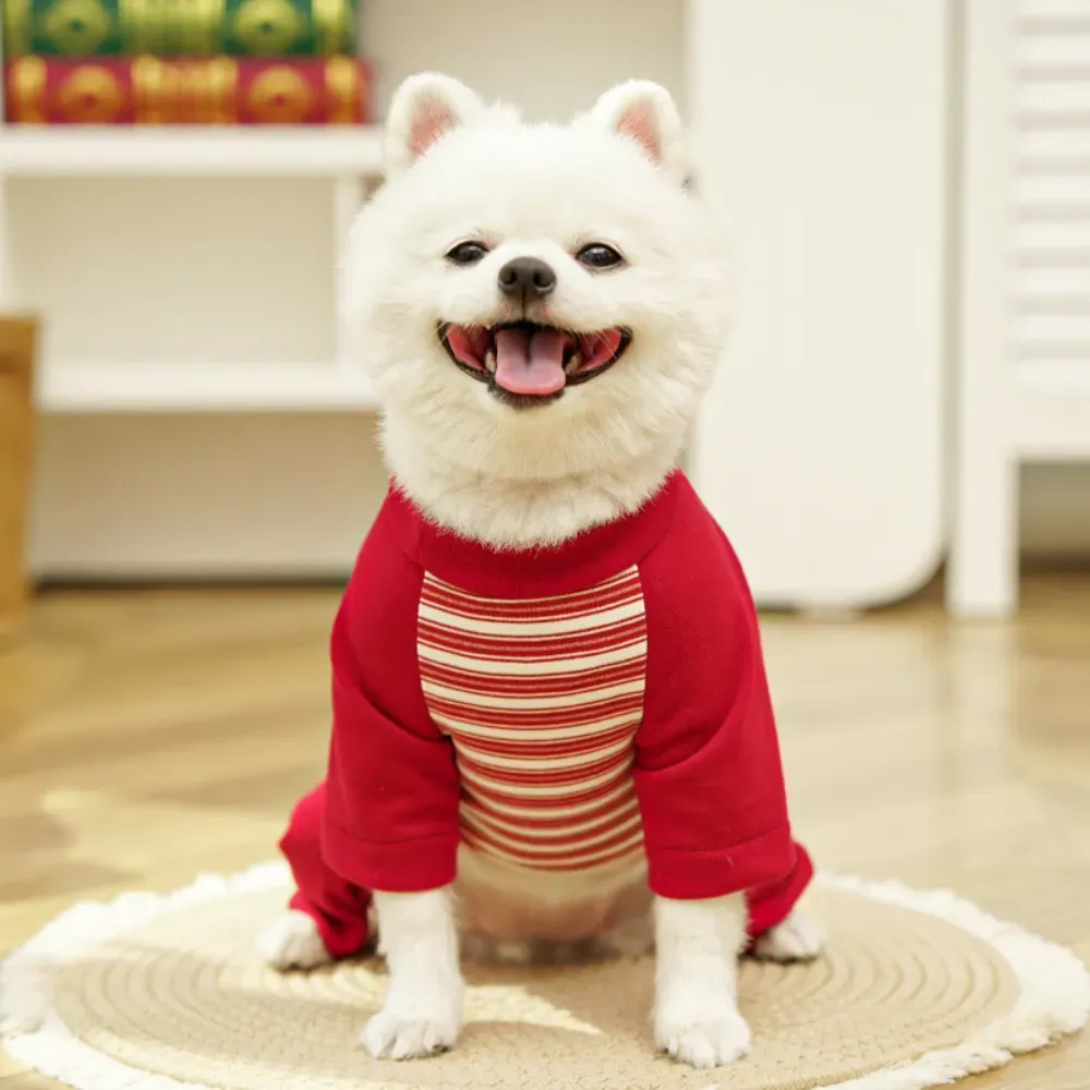 soft dog tee