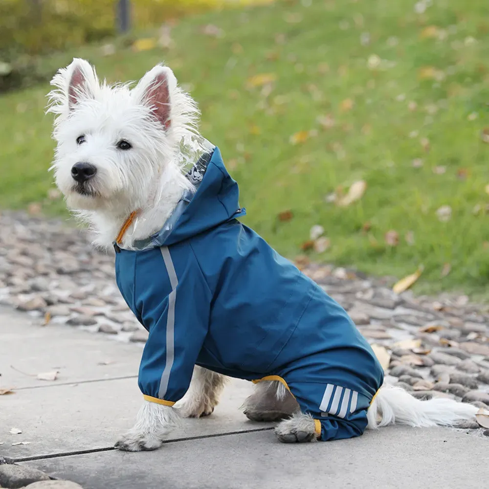small medium large dog rain jacket