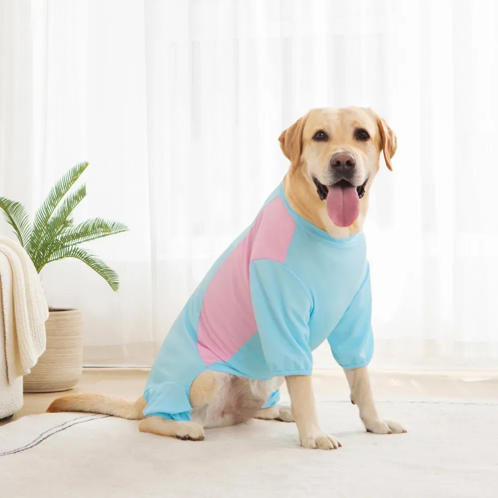 color block dog apparel