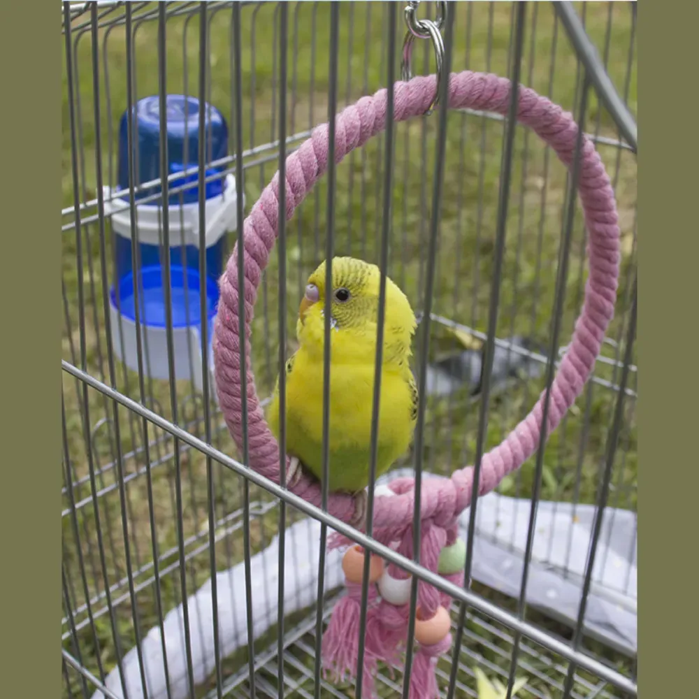 parrot activity swing