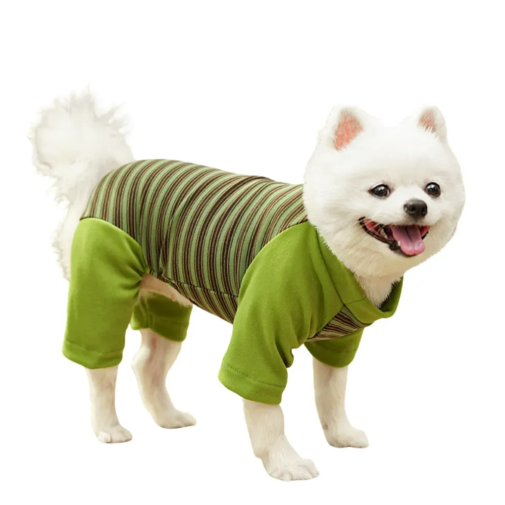 large dog striped outfit