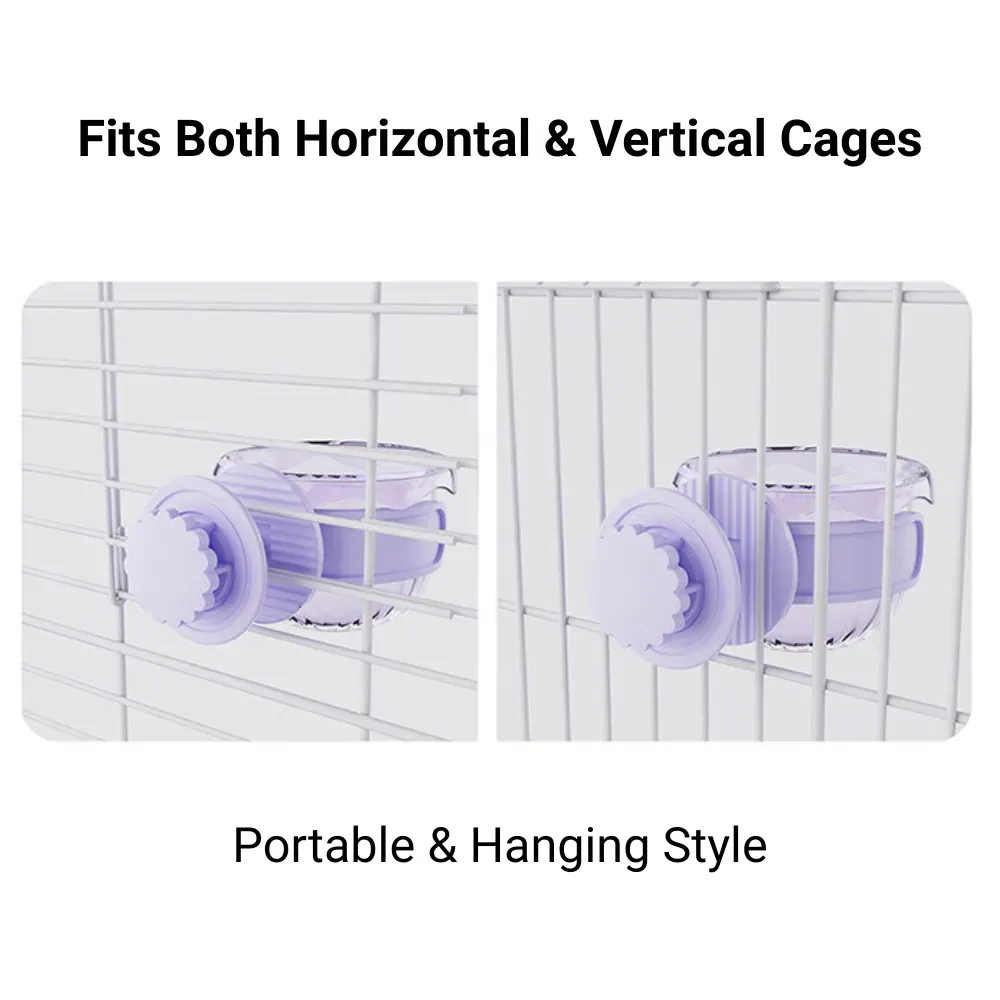 parrot seed container parrot seed container