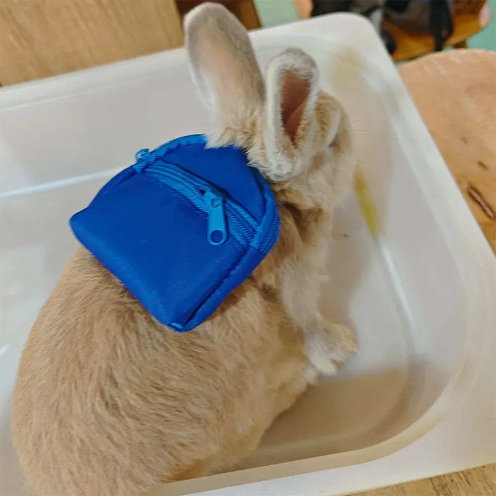 rabbit walking set rabbit walking set