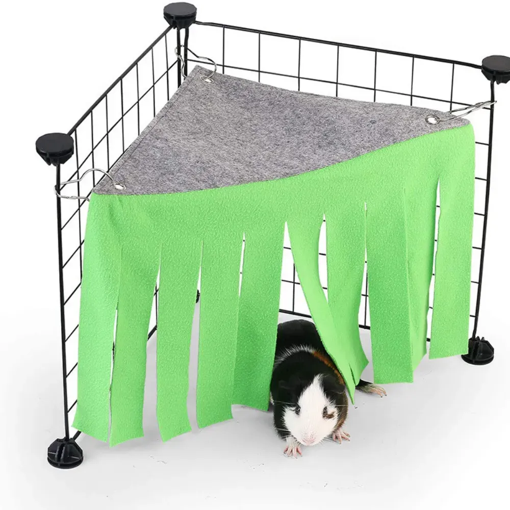 guinea pig corner house