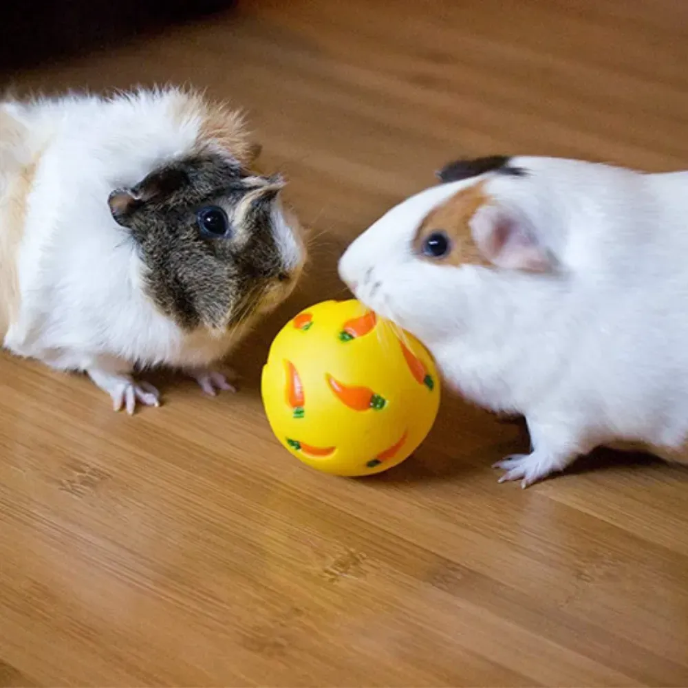 bunny enrichment toy