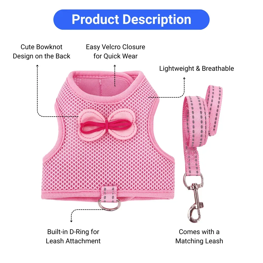 pet leash sets