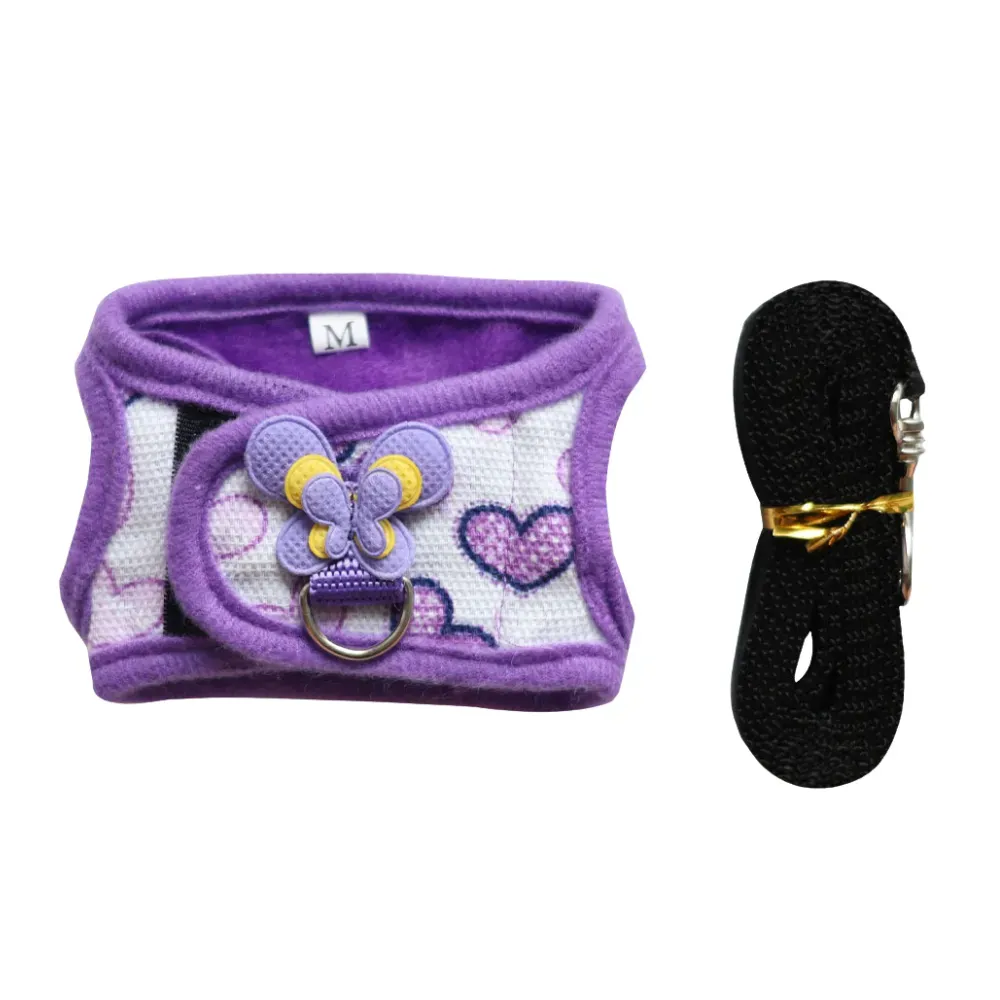 hedgehog outdoor leash hedgehog outdoor leash