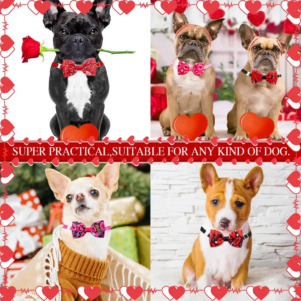 cat bow tie accessory