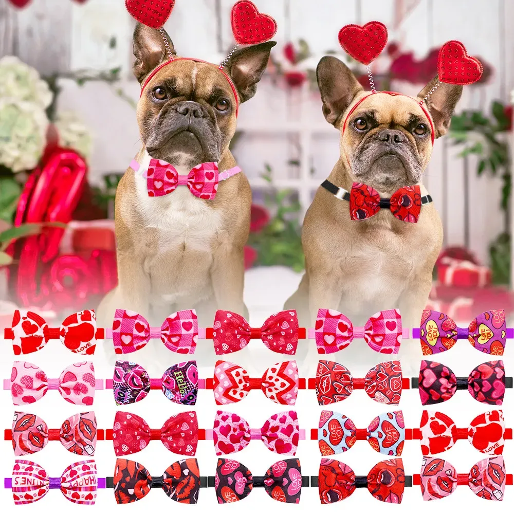 dog bow tie accessory