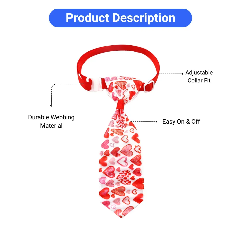 pet apparel accessory