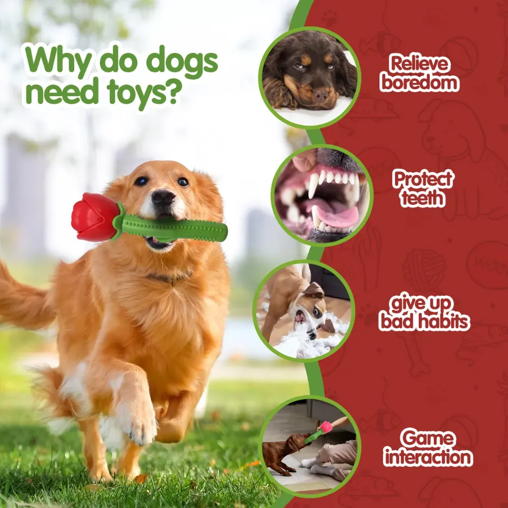 Corgi toy