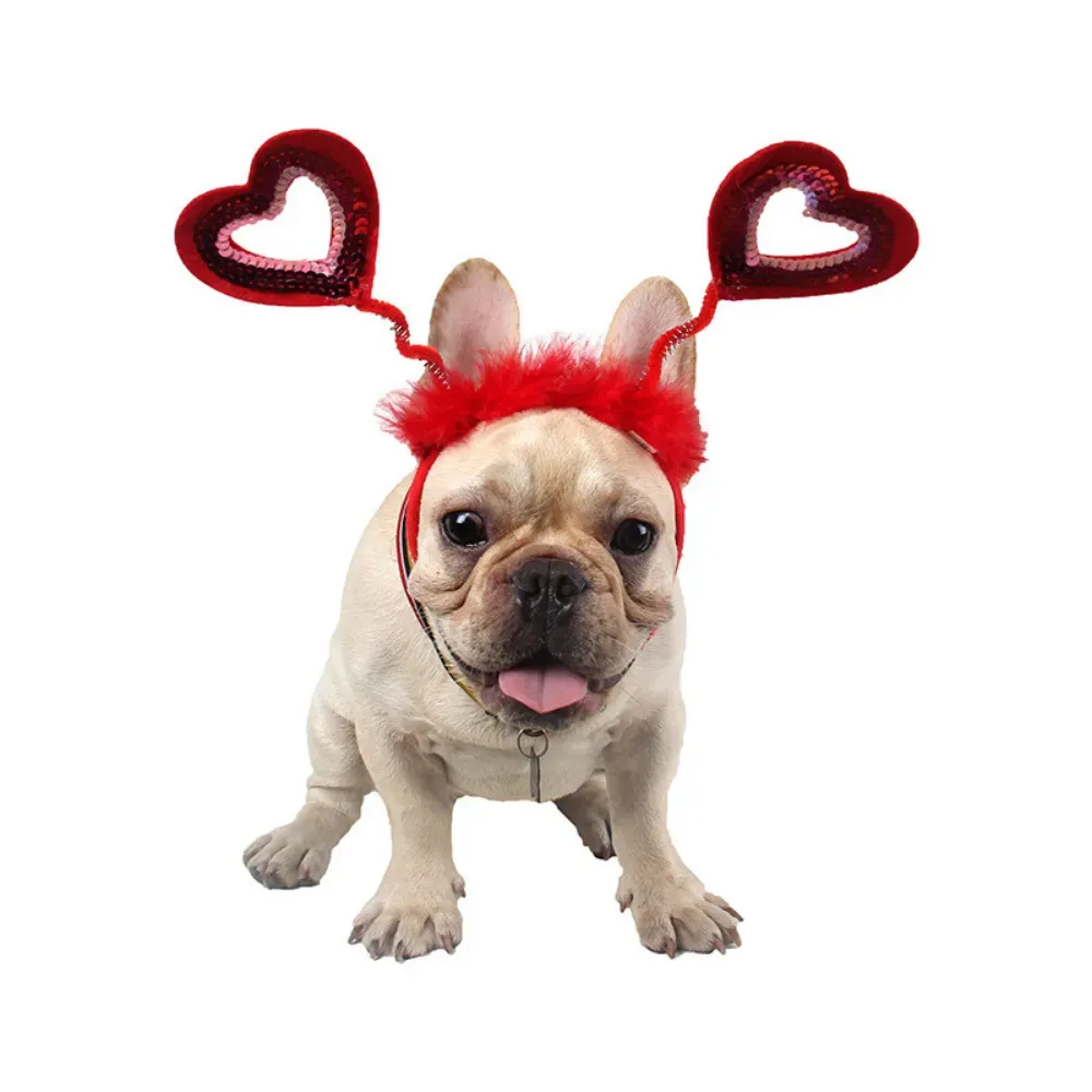 sparkly pet headband