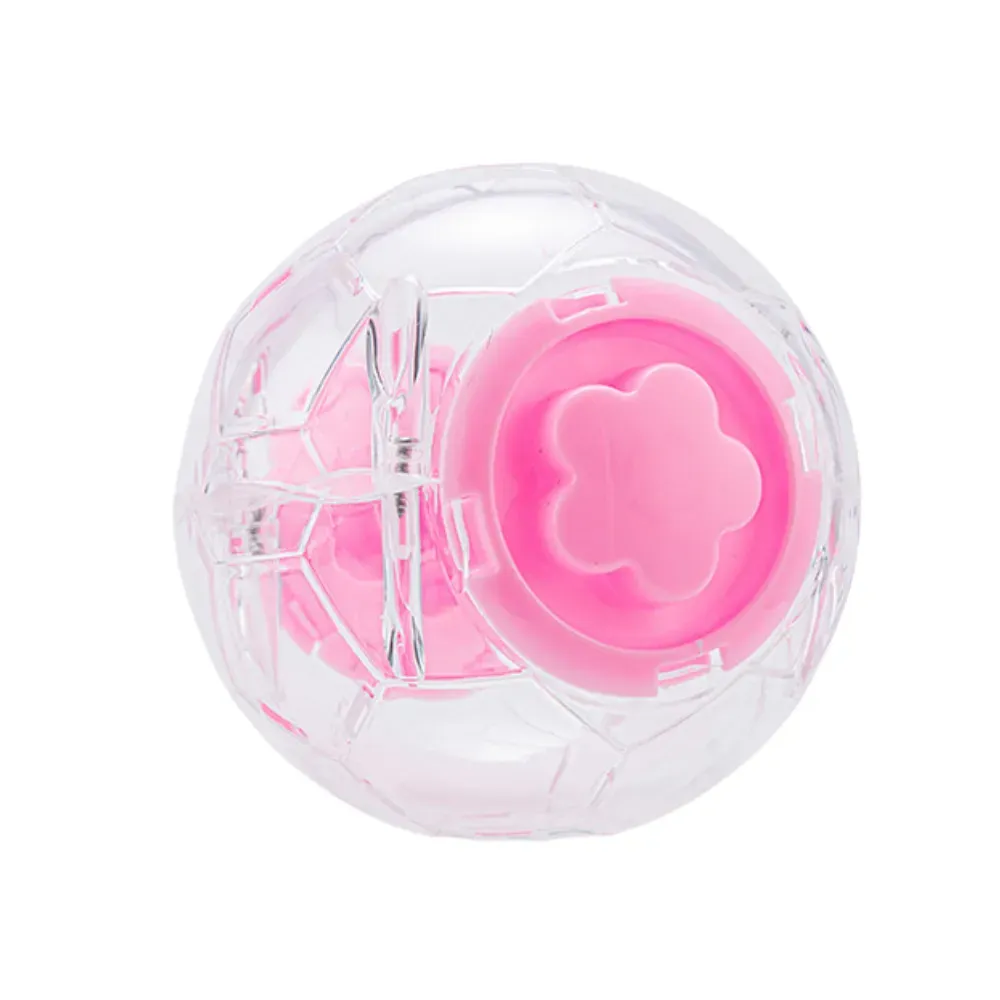 Transparent pet exercise ball Transparent pet exercise ball