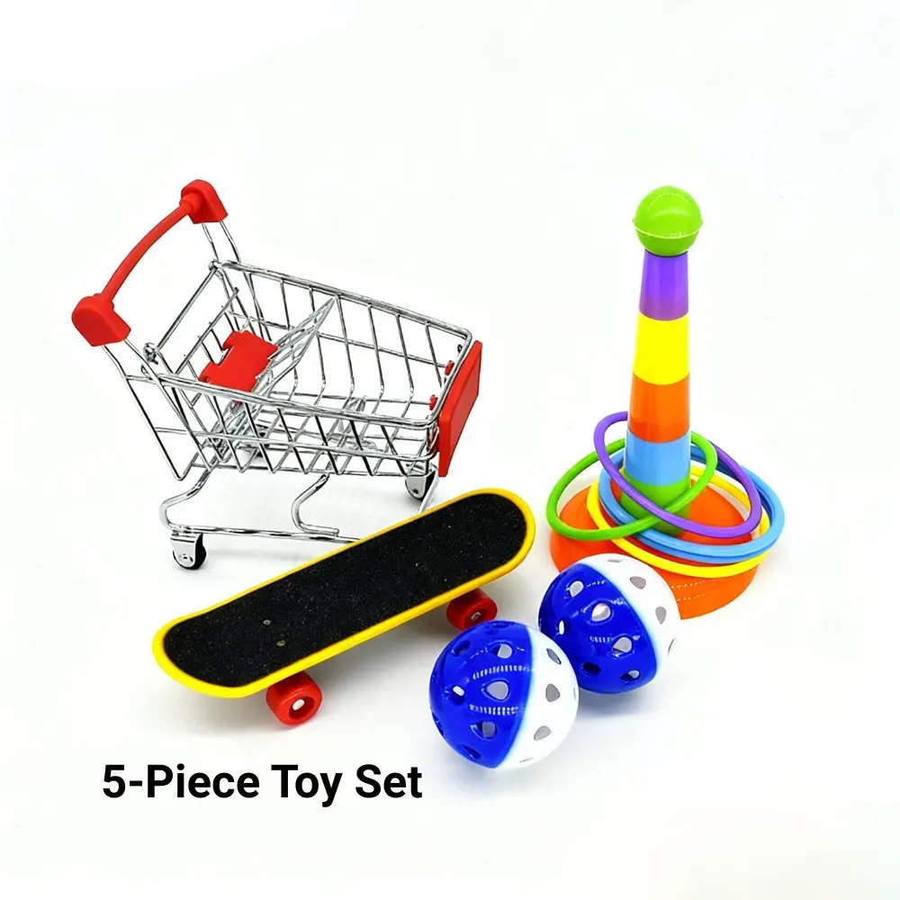 Bird interactive toy Bird interactive toy