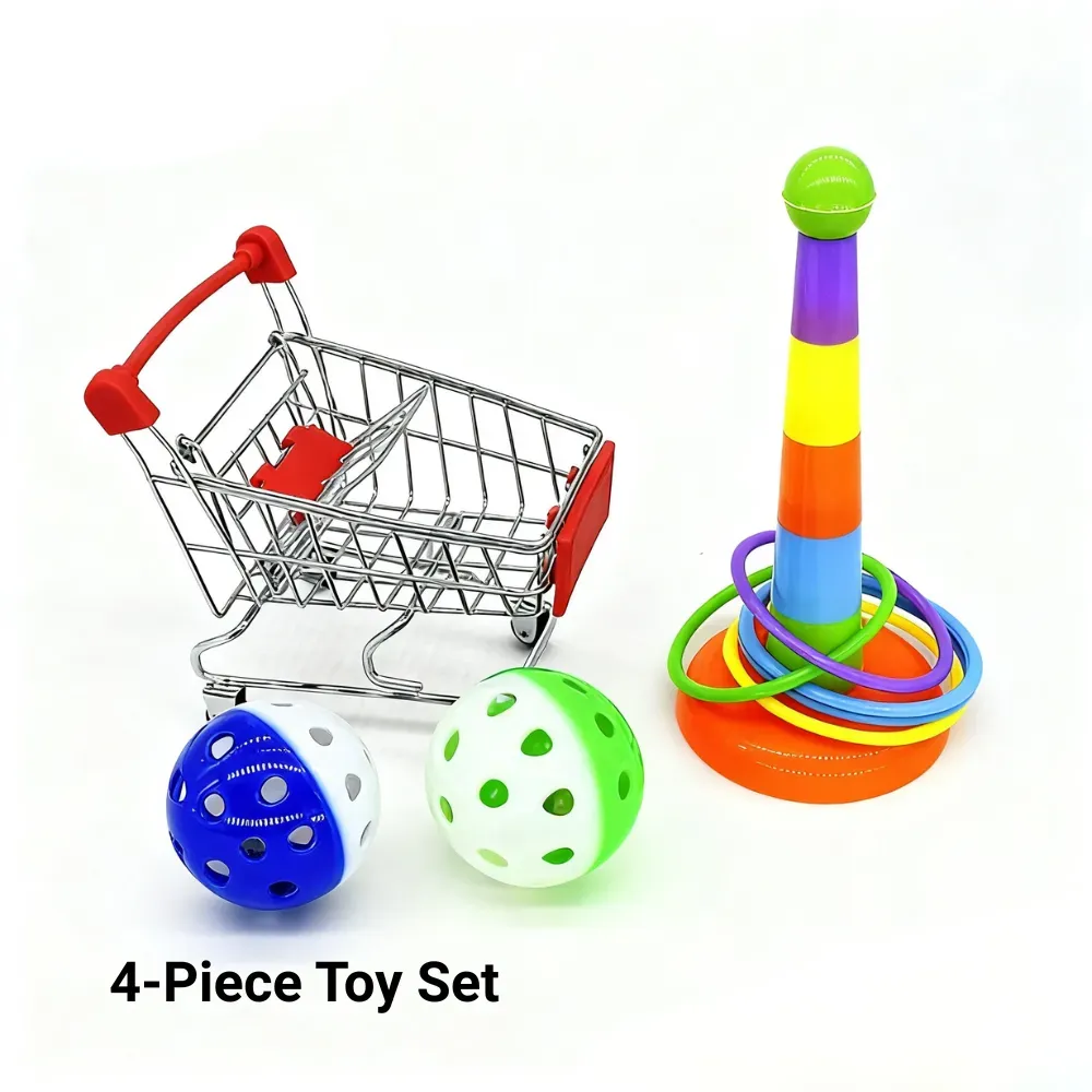 Parrot toy set Parrot toy set