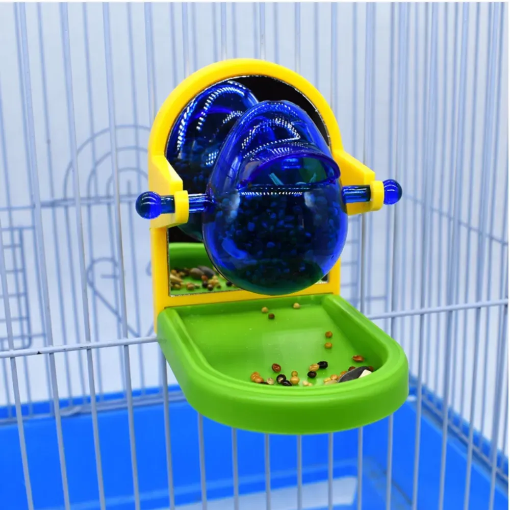 bird intelligence toy