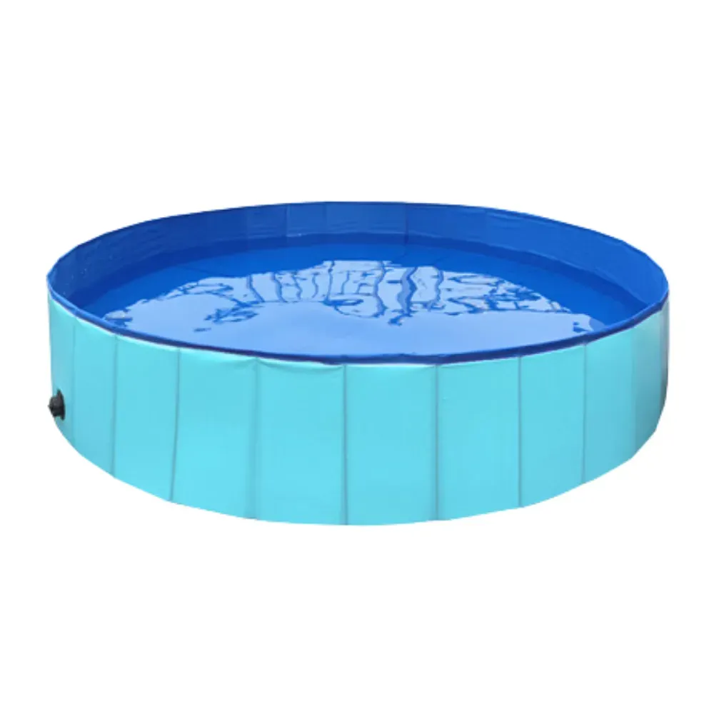cat litter pool