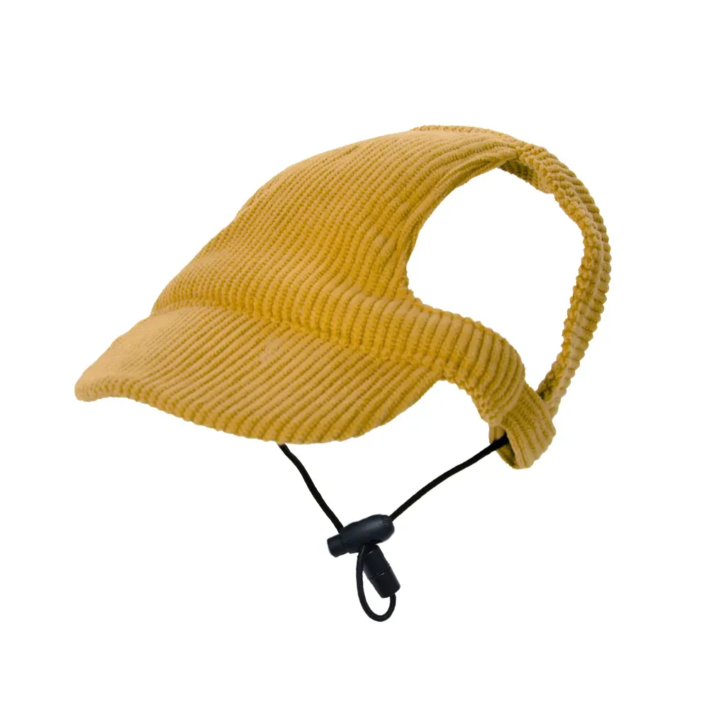cat sun hat cat sun hat