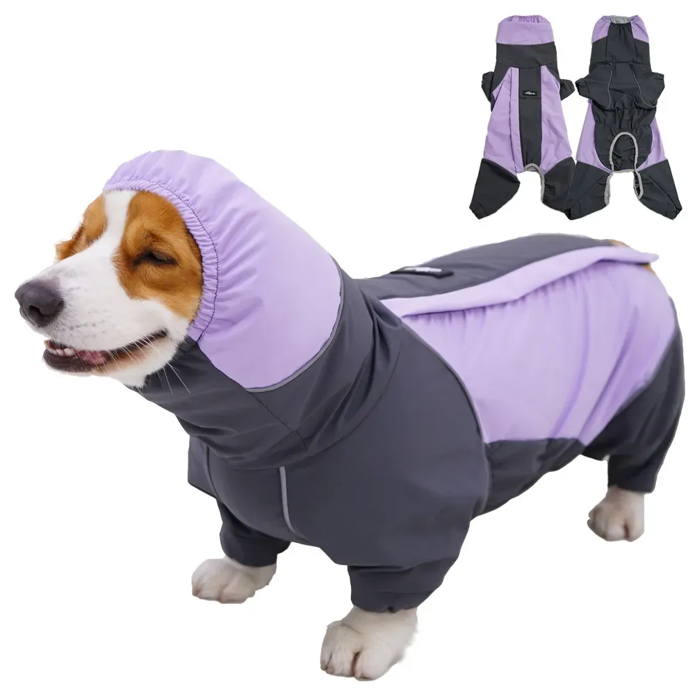 dog raincoat