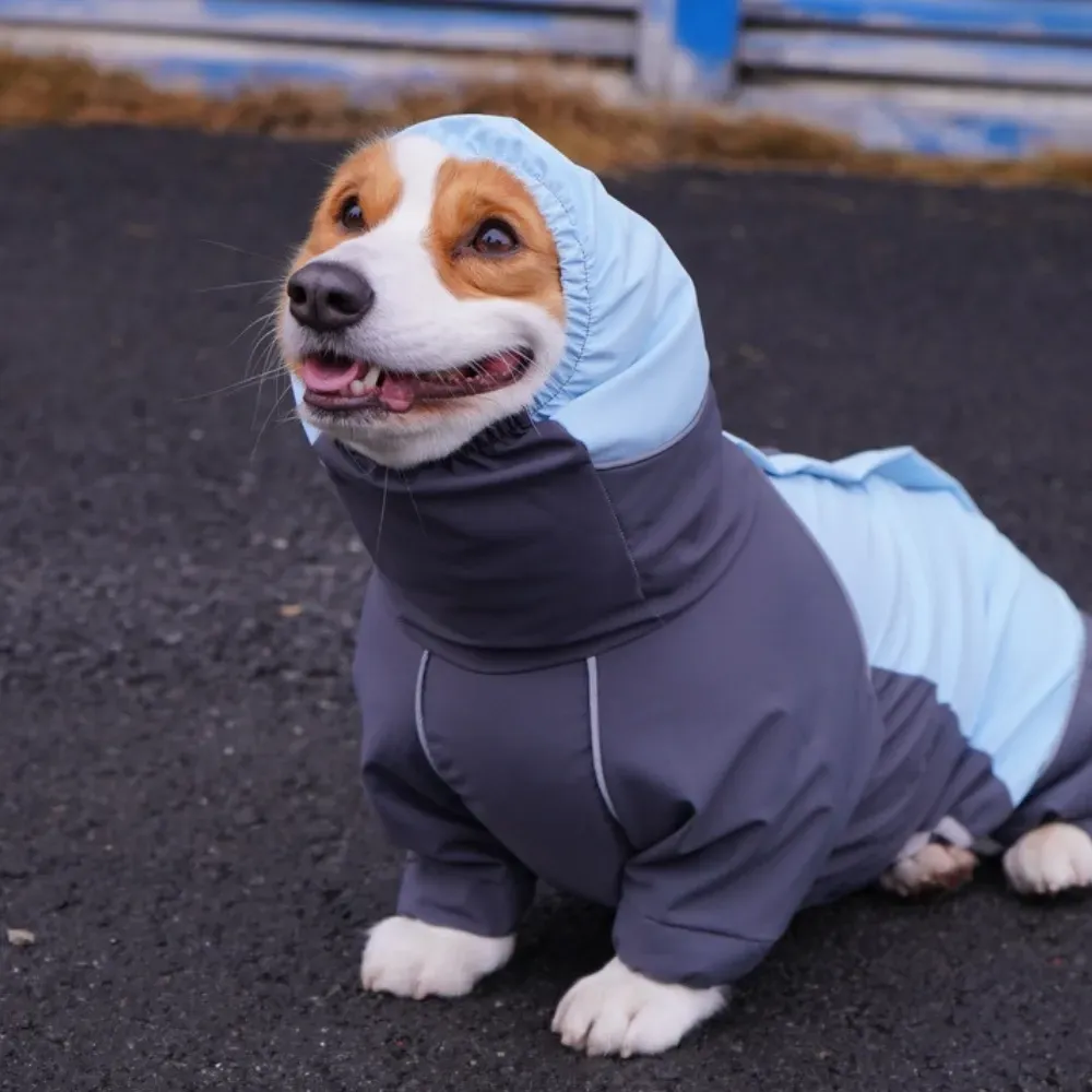 windproof dog jacket