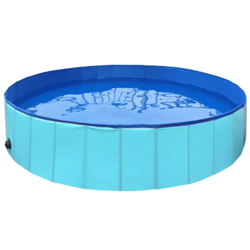 dog swimming pool